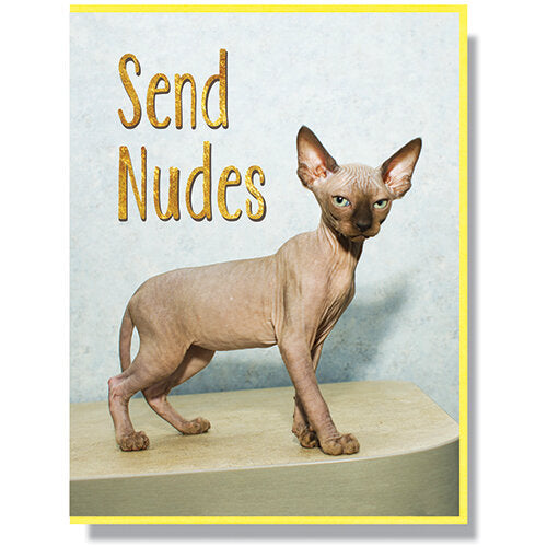 sphynx cat funny card 