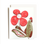 Birthday Flower Ladybug - Letterpress Card