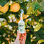 Shroom Soda bottle held in front of a lemon tree with lemons on the branches.