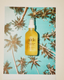 Coco Grapefruit Body Oil