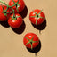 Tomato Leaf Soap