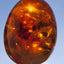 Amber Woodsmoke Soap