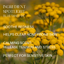 Blue tansy benefits 
