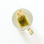 A single tea bag with visible green herbal tea inside, hanging in a clear glass mug with a gold-tone handle against a clean white background.