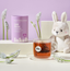 Tea cup with 'Lake & Oak' branding, a plush rabbit toy, and a canister on a light purple background.