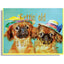 Two small dogs wearing colorful hats with text 'Gettin' old is such a drag' on a blue background.