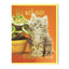 Get Well Card