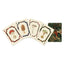 Set of playing cards with mushroom designs on a white background