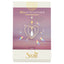 heart sun catcher 