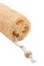 Loofah with a rope on a white background