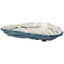 Oyster Shaped Dish