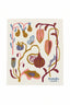 Decorative product with colorful plant and insect illustrations on a white background, featuring the brand 'Ecologie danica'.