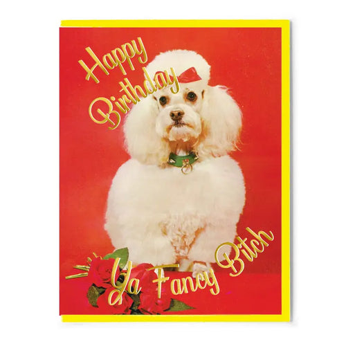 funny dog card 