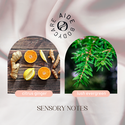 Aide Holiday sensory notes, fresh citrus ginger & evergreen