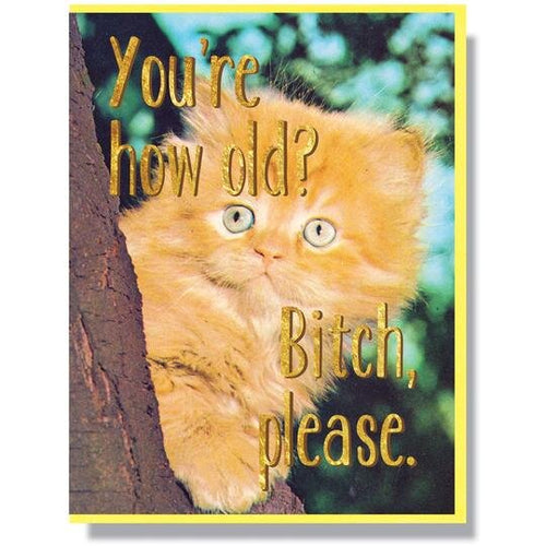 funny cat birthday card 