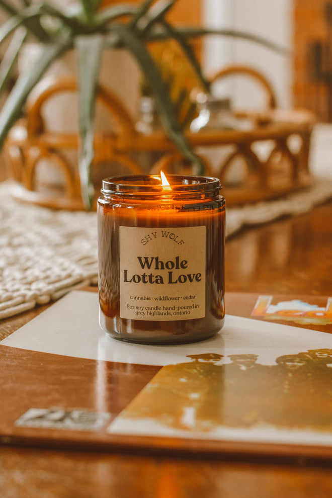 whole lotta love shy wolf candle