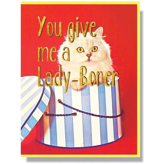 funny cat card, blank inside 